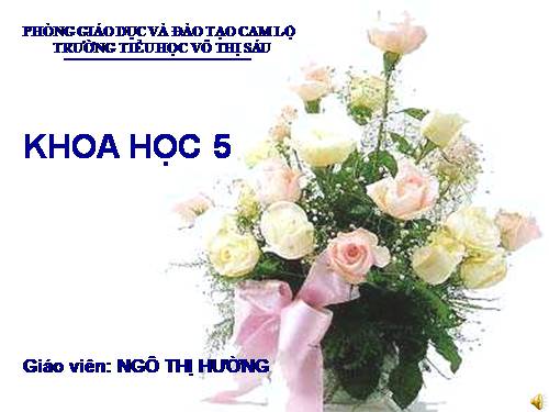 Bài 51. Cơ quan sinh sản của thực vật có hoa