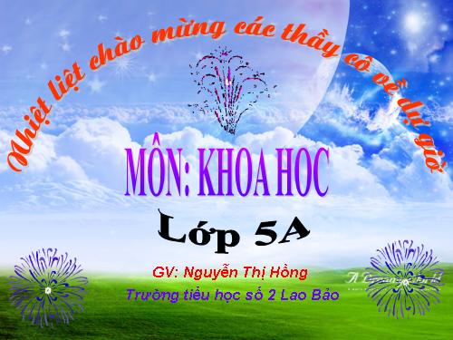 Bài 15. Phòng bệnh viêm gan A