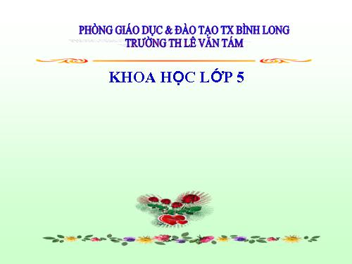 Bài 19. Phòng tránh tai nạn giao thông đường bộ