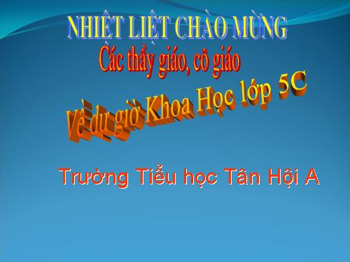 Bài 15. Phòng bệnh viêm gan A