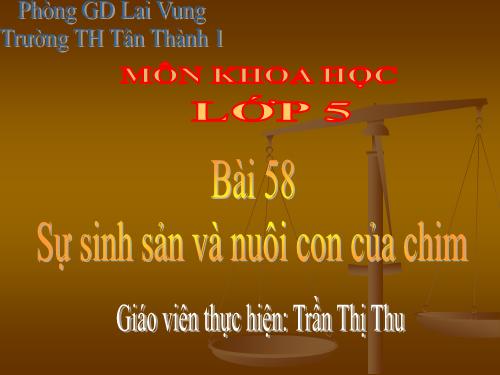 Bài 58. Sự sinh sản và nuôi con của chim