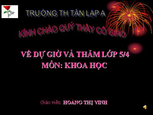 Bài 15. Phòng bệnh viêm gan A