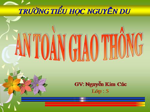 Bài 19. Phòng tránh tai nạn giao thông đường bộ