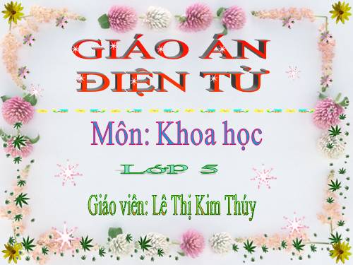 Bài 12. Phòng bệnh sốt rét