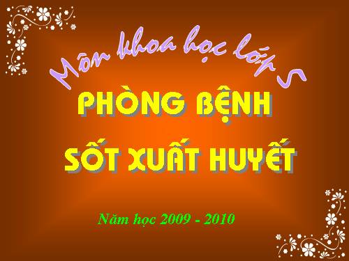 Bài 13. Phòng bệnh sốt xuất huyết