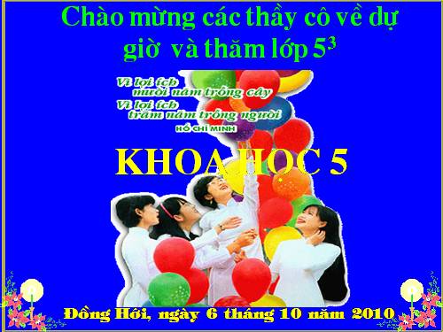 Bài 14. Phòng bệnh viêm não