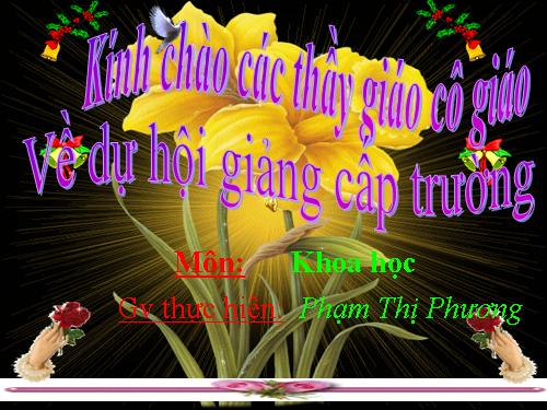 Bài 24. Đồng và hợp kim của đồng