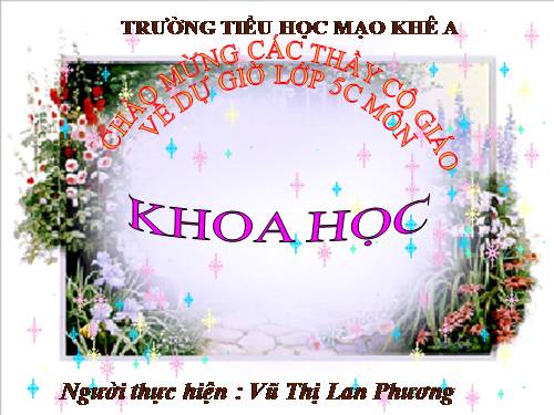 Bài 14. Phòng bệnh viêm não