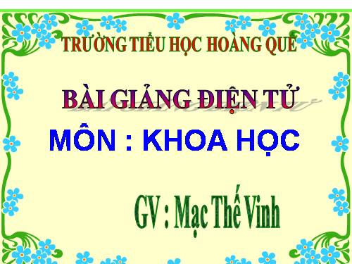 Bài 51. Cơ quan sinh sản của thực vật có hoa