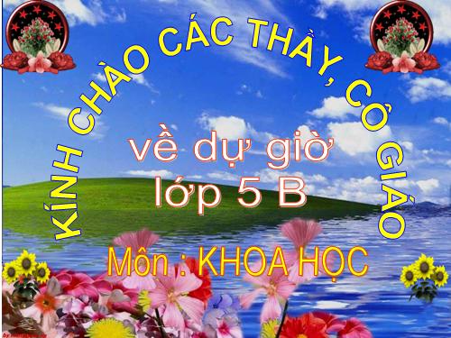 Bài 41. Năng lượng mặt trời