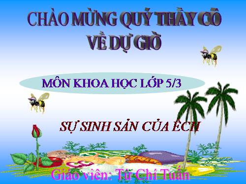 Bài 57. Sự sinh sản của ếch