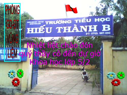 Bài 57. Sự sinh sản của ếch