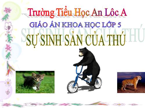 Bài 59. Sự sinh sản của thú