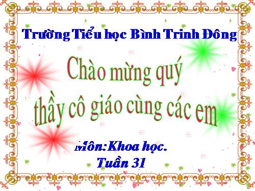 Bài 62. Môi trường