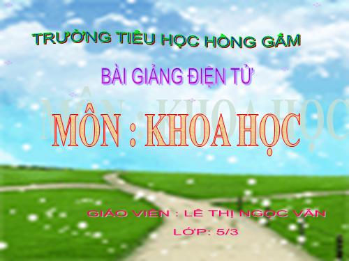 Bài 13. Phòng bệnh sốt xuất huyết