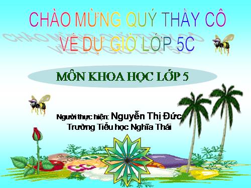 Bài 57. Sự sinh sản của ếch