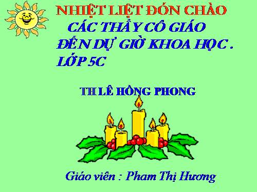 Bài 51. Cơ quan sinh sản của thực vật có hoa