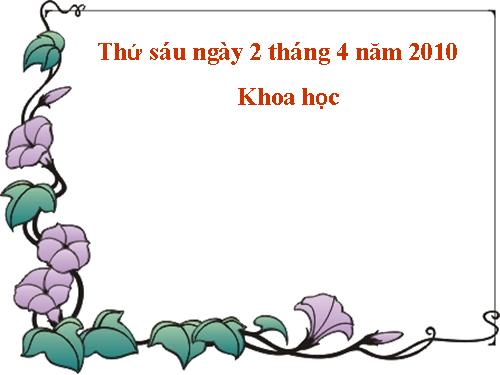 Bài 53. Cây con mọc lên từ hạt