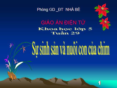 Bài 58. Sự sinh sản và nuôi con của chim