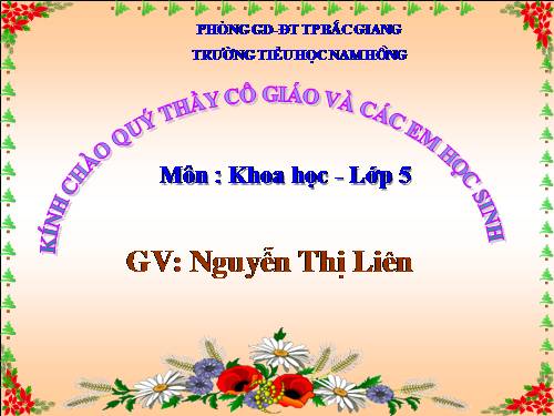 Bài 57. Sự sinh sản của ếch