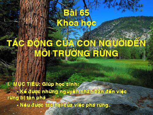 Bài 65. Tác động của con người đến môi trường rừng