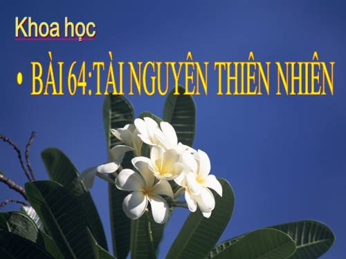 Bài 63. Tài nguyên thiên nhiên