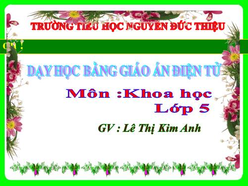 Bài 54. Cây con có thể mọc lên từ một số bộ phận của cây mẹ