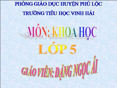 Bài 53. Cây con mọc lên từ hạt