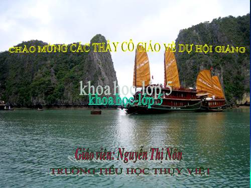 Bài 19. Phòng tránh tai nạn giao thông đường bộ