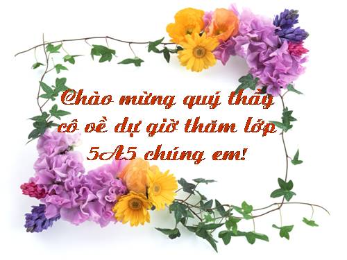 Bài 51. Cơ quan sinh sản của thực vật có hoa