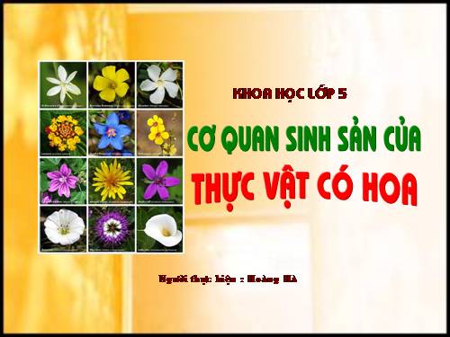 Bài 51. Cơ quan sinh sản của thực vật có hoa