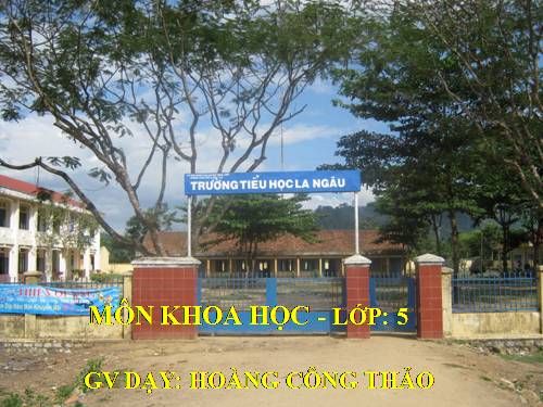Bài 51. Cơ quan sinh sản của thực vật có hoa