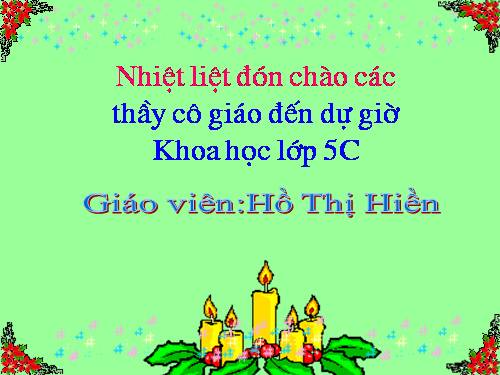 Bài 51. Cơ quan sinh sản của thực vật có hoa