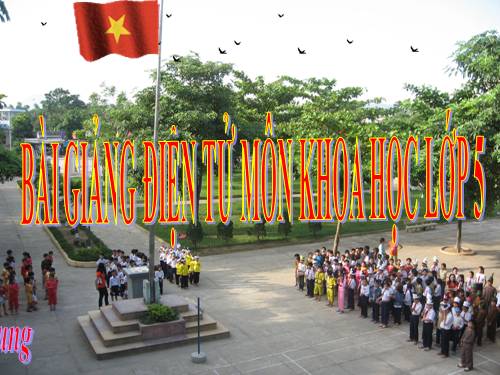 Bài 26. Đá vôi