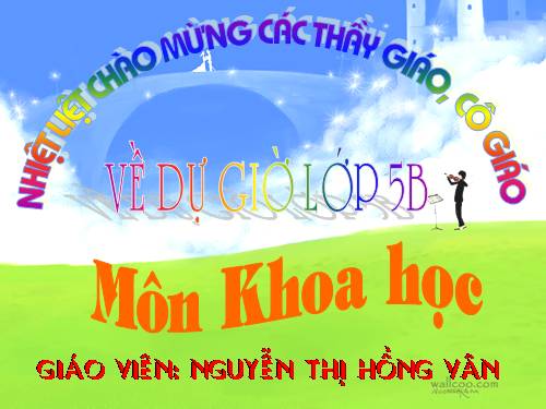 Bài 31. Chất dẻo