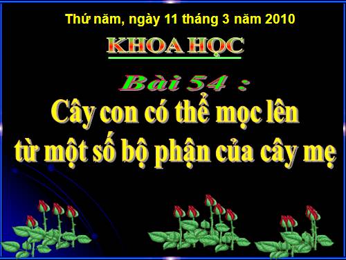 Bài 54. Cây con có thể mọc lên từ một số bộ phận của cây mẹ