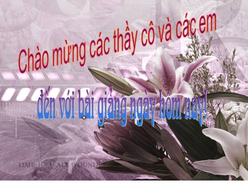 Bài 51. Cơ quan sinh sản của thực vật có hoa