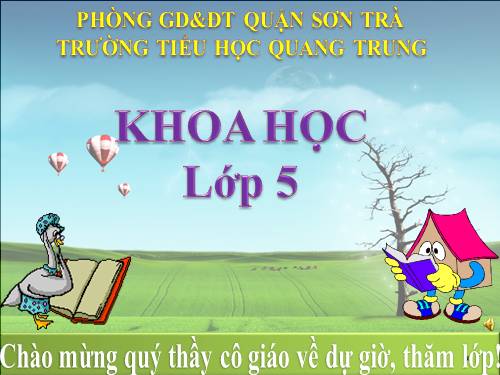 Bài 49-50. Ôn tập: Vật chất và năng lượng