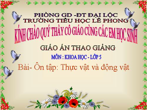 Bài 61. Ôn tập: Thực vật và động vật