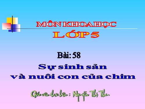 Bài 58. Sự sinh sản và nuôi con của chim