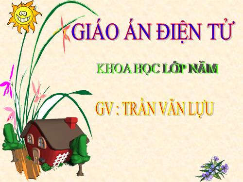 Bài 27. Gốm xây dựng: gạch, ngói