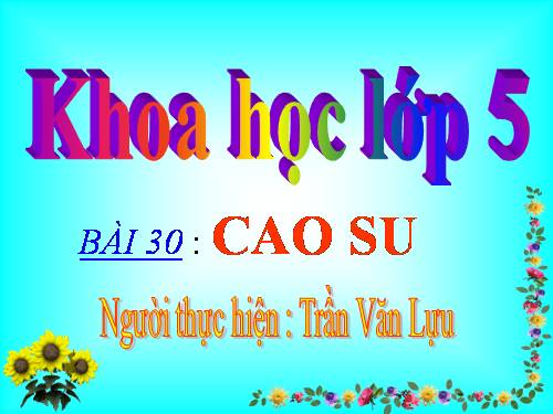 Bài 30. Cao su