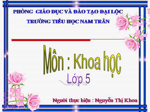 Bài 24. Đồng và hợp kim của đồng