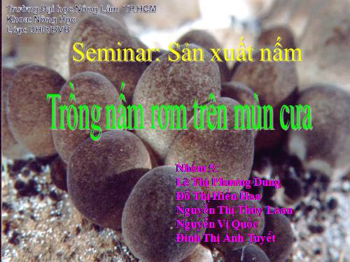 trồng nấm rơm