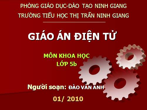 Bài 38-39. Sự biến đổi hóa học