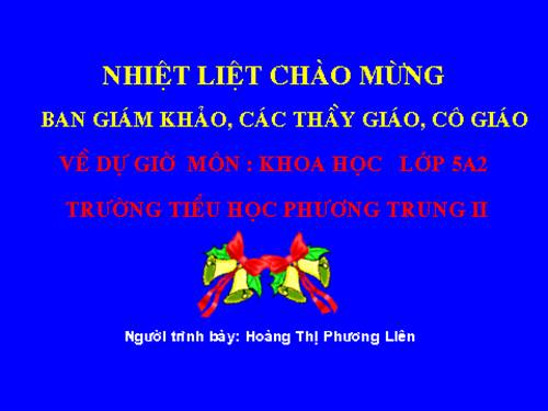 Bài 31. Chất dẻo