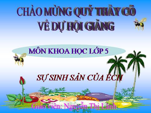 Bài 57. Sự sinh sản của ếch