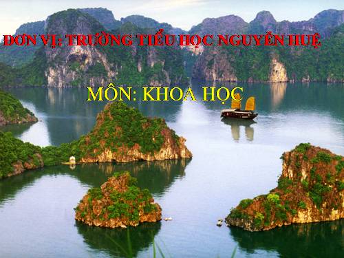 Bài 38-39. Sự biến đổi hóa học