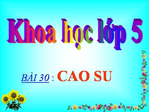 Bài 30. Cao su