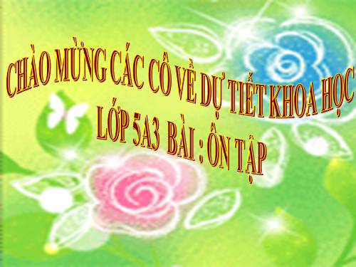 Bài 20-21. Ôn tập: Con người và sức khỏe